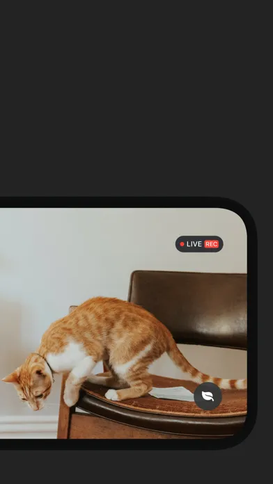 Phonitor: Home Security Camera سکرین شاٹس