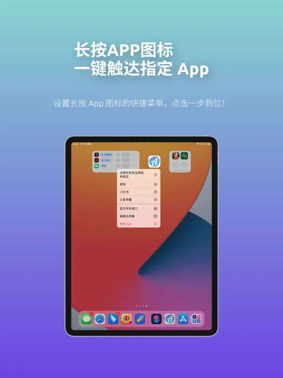 Screenshot di AppControl-掌控任意 App 可用性 iPad 