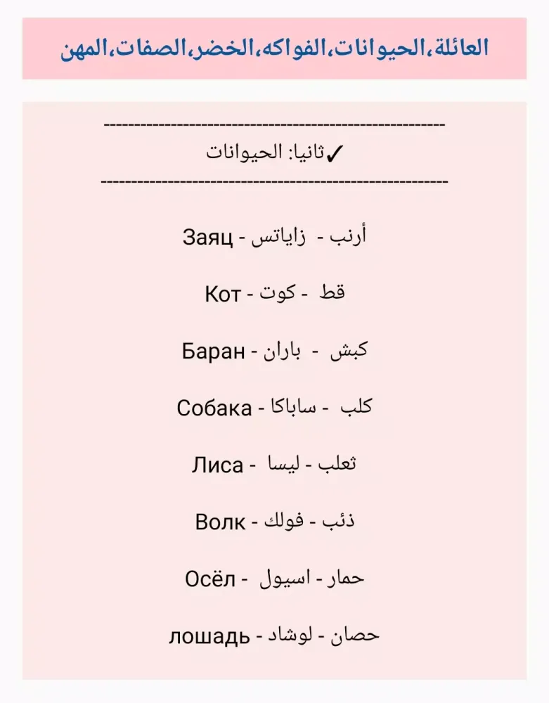 頂富行動 MAX Screenshots