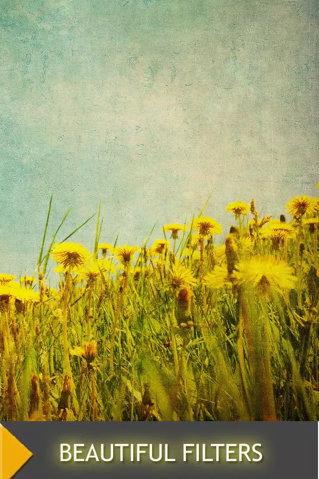 Antique Photo Retro Effects स्क्रीनशॉट