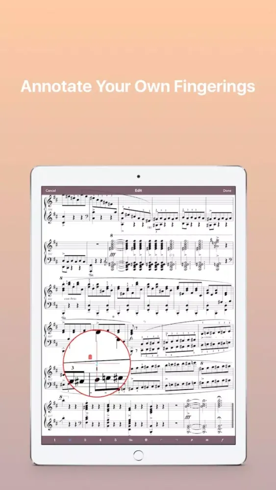 Ảnh chụp màn hình của Chopin: Scherzos