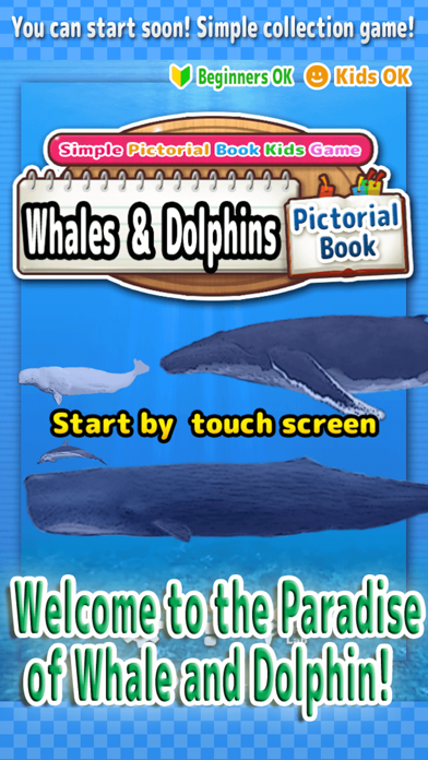 Capturas de pantalla de Whales & Dolphins of the World -Simple Pictorial Book Kids Game -
