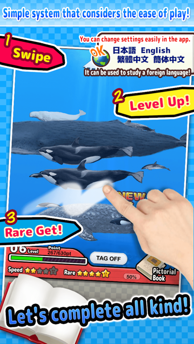 Capturas de pantalla de Whales & Dolphins of the World -Simple Pictorial Book Kids Game -