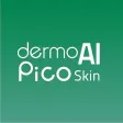 DermoPico Skin New