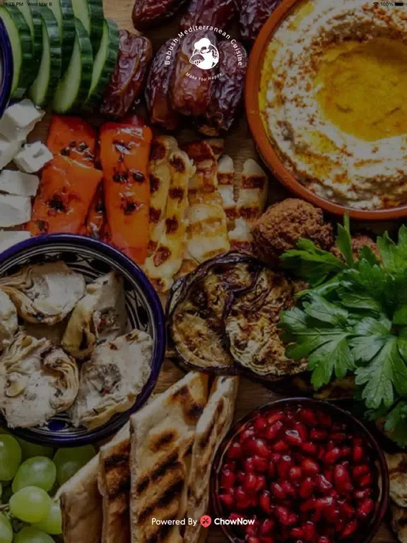 Babush Mediterranean Cuisine iPad 应用截图