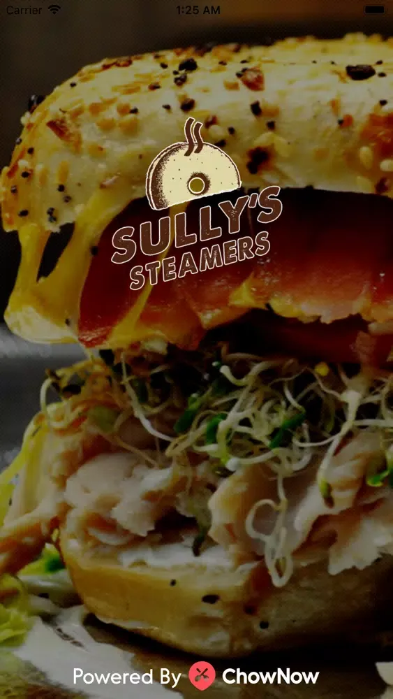 Скриншоты Sully's Steamers