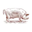 Sweet Auburn BBQ Restaurant