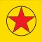 Wok Star Food Truck