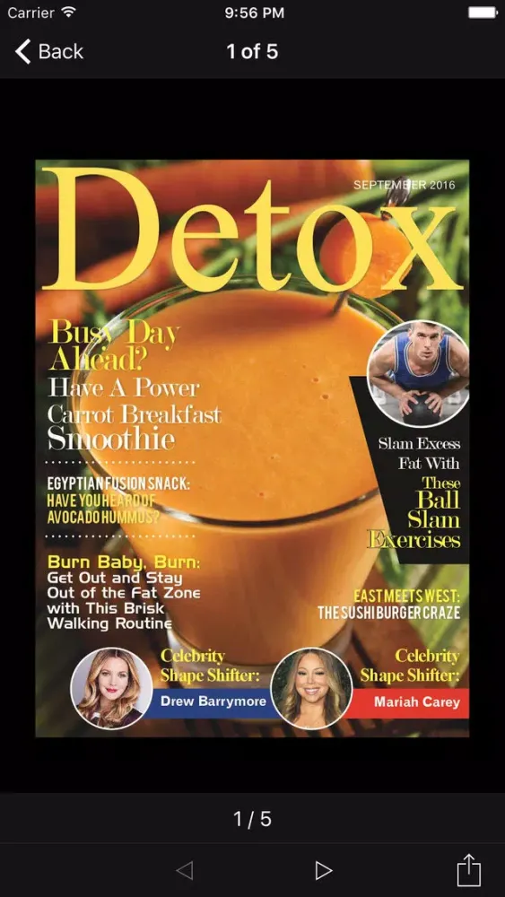 Screenshot di Detox Magazine