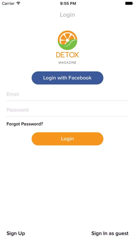 Screenshot di Detox Magazine