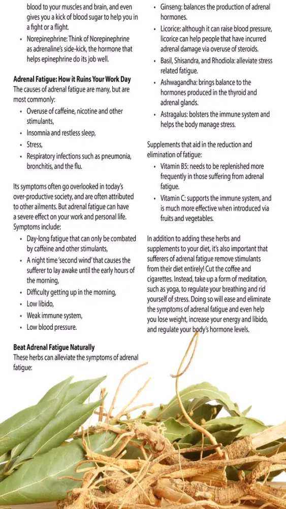 Healthy Eating Magazine Screenshots
