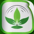 Organic Living Magazine