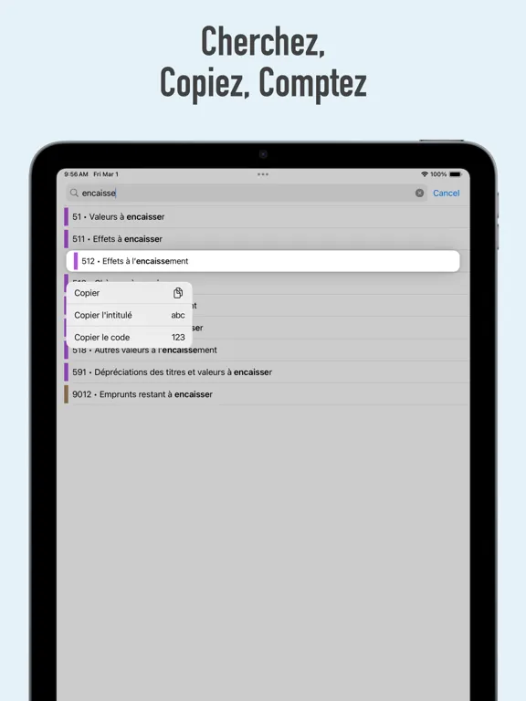 Capturas de tela do SYSCOHADA Révisé iPad 