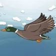 Quacker Blaster