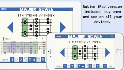 Guitar Note Atlas应用截图