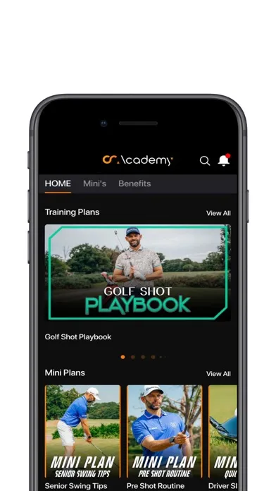 Tangkapan layar Chris Ryan Golf Academy