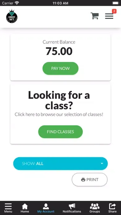 Tangkapan skrin Chrissy Rae’s Dance Academy