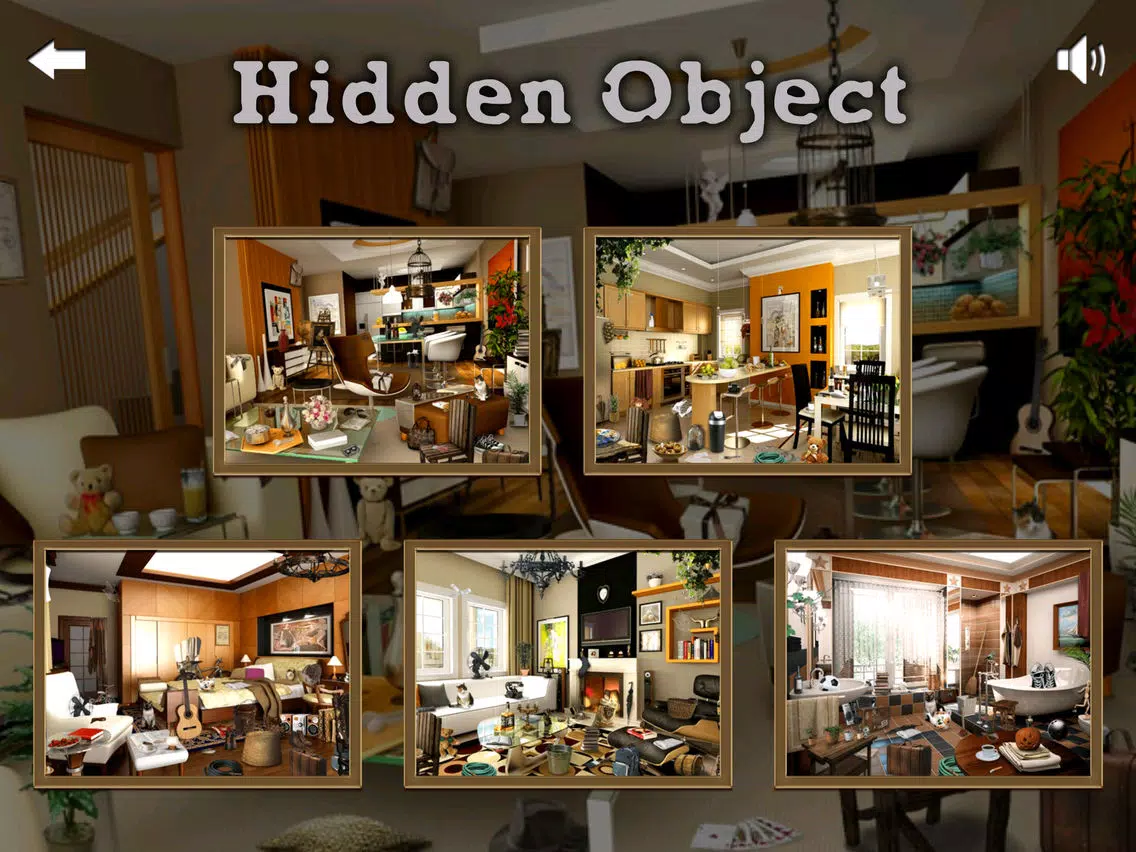 Ảnh chụp màn hình của Hidden Objects ++ iPad 