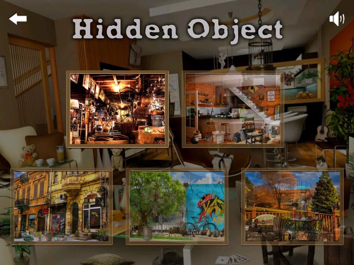Ảnh chụp màn hình của Hidden Objects ++ iPad 