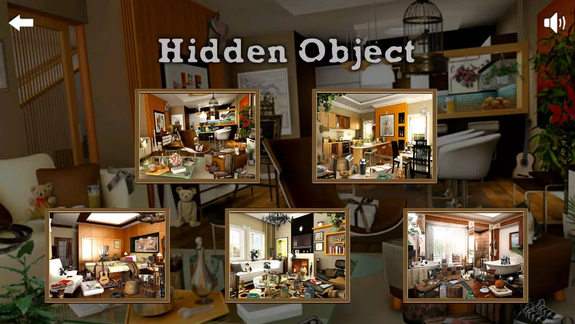Ảnh chụp màn hình của Hidden Objects ++