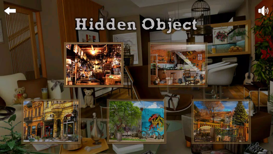 Ảnh chụp màn hình của Hidden Objects ++
