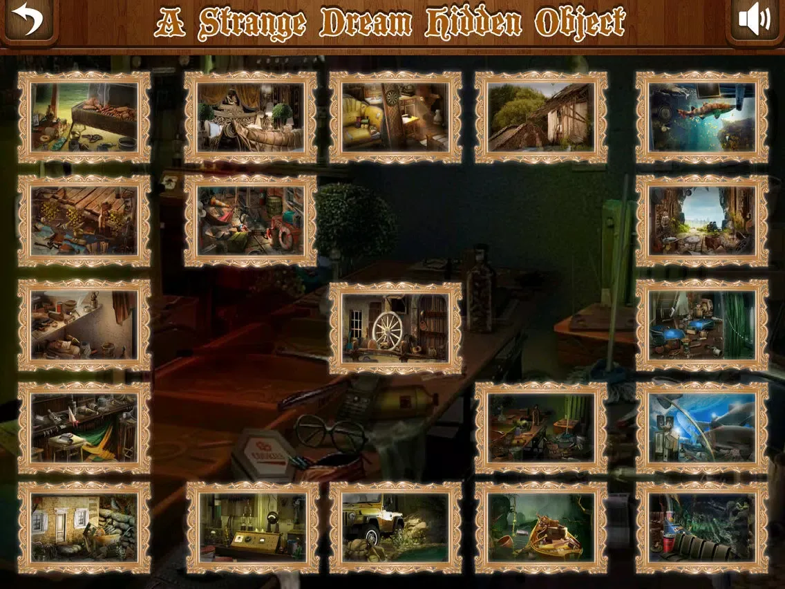 A LAKE HOUSE HIDDEN OBJECTS iPad 應用截圖