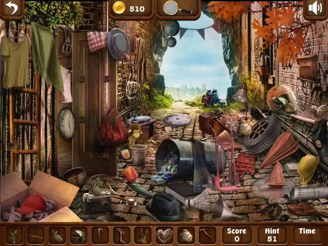 A LAKE HOUSE HIDDEN OBJECTS iPad 應用截圖