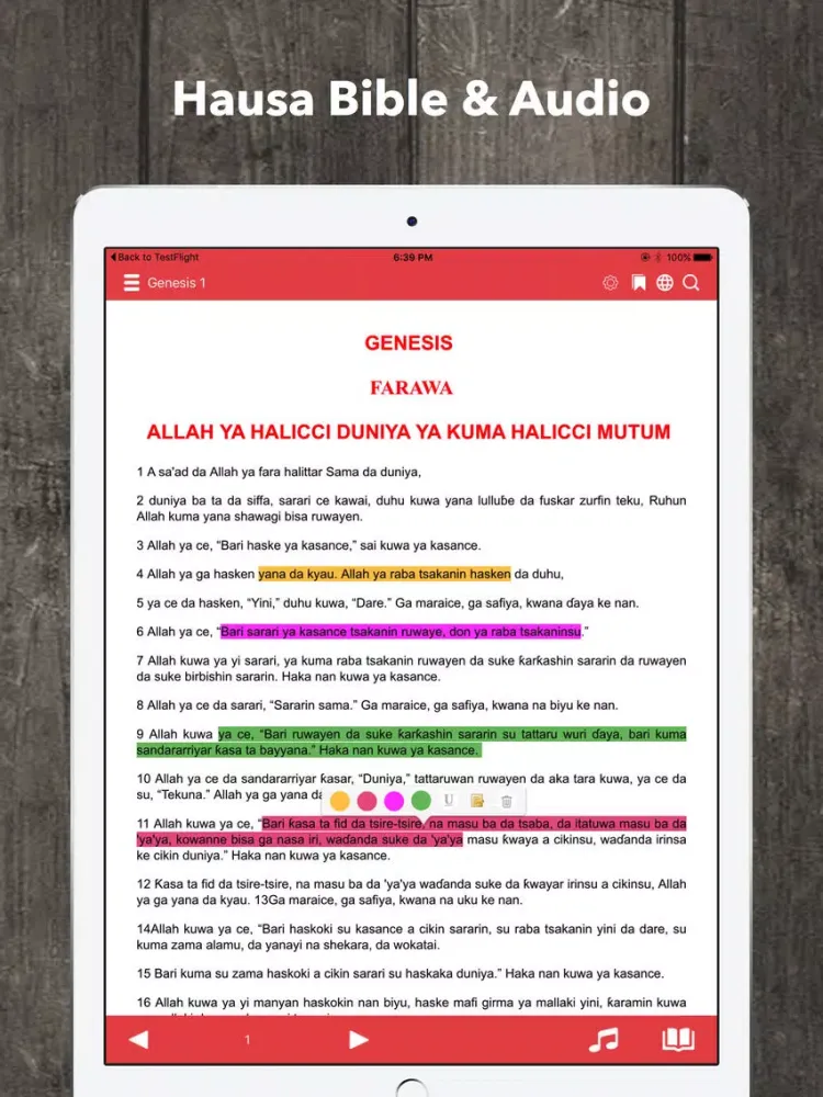 Скриншоты Hausa Bible Audio iPad 