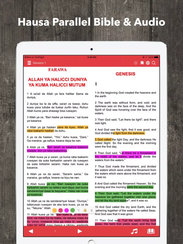 Скриншоты Hausa Bible Audio iPad 