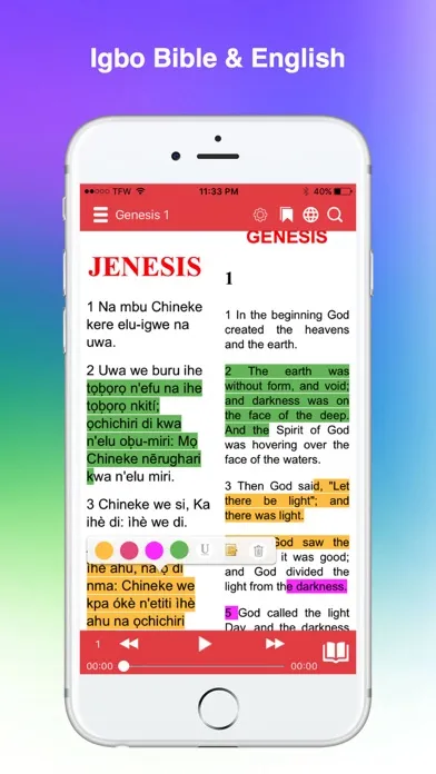 Igbo Bible স্ক্রিনশট
