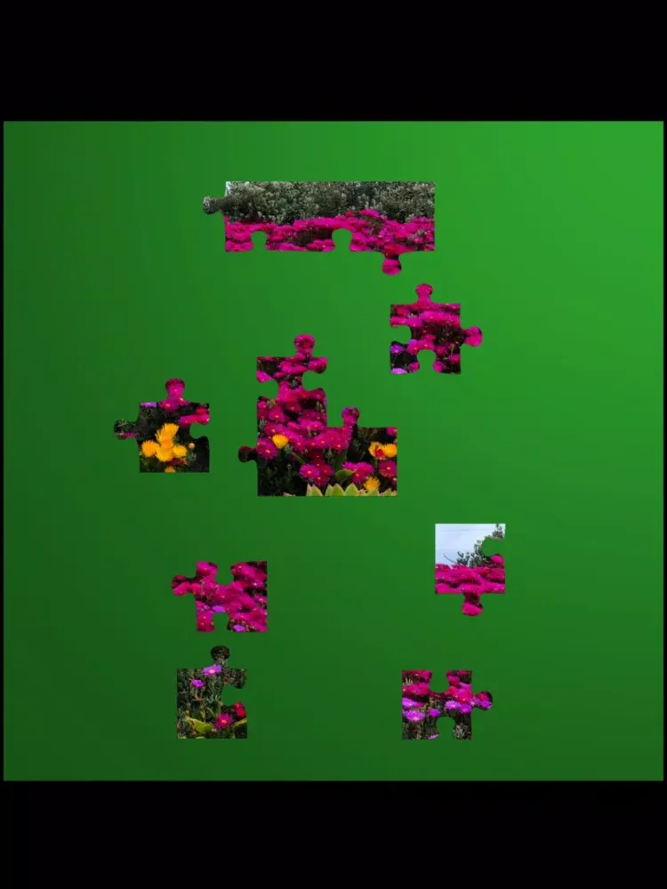 Jigsaw Puzzles, 12+/40+ pieces iPad  Ekran Görüntüleri