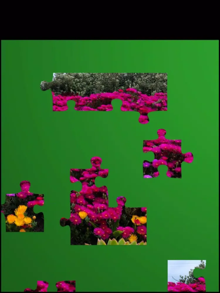 Jigsaw Puzzles, 12+/40+ pieces iPad  Ekran Görüntüleri