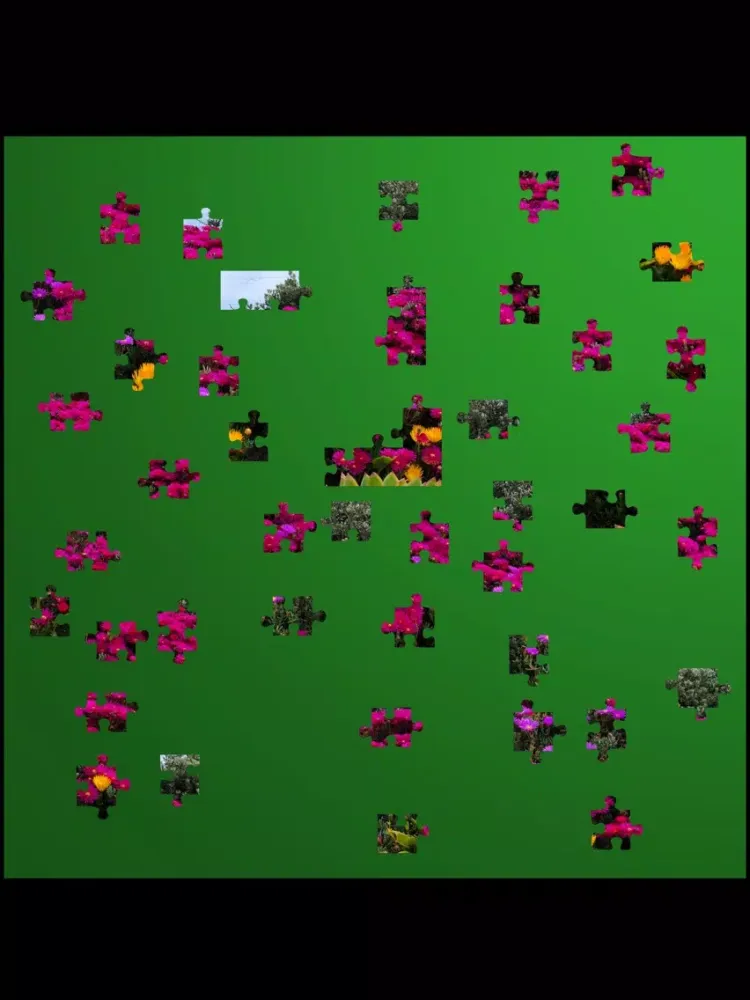 Jigsaw Puzzles, 12+/40+ pieces iPad  Ekran Görüntüleri