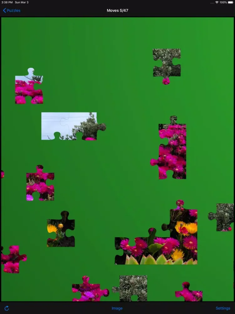 Jigsaw Puzzles, 12+/40+ pieces iPad  Ekran Görüntüleri
