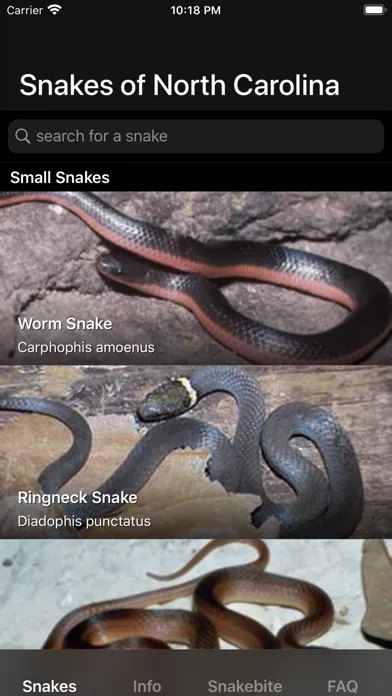 Скриншоты Snakes of North Carolina