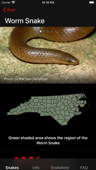 Скриншоты Snakes of North Carolina