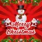 Christmas Cards & Wishes