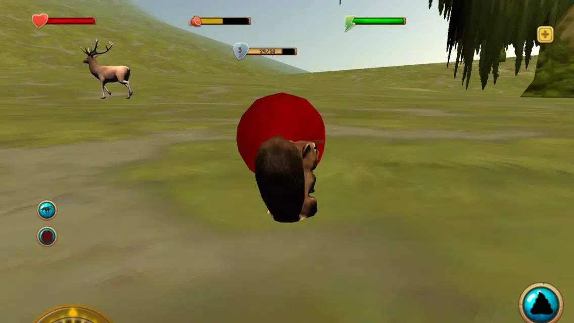Zrzuty ekranu Squirrel Simulator 3D
