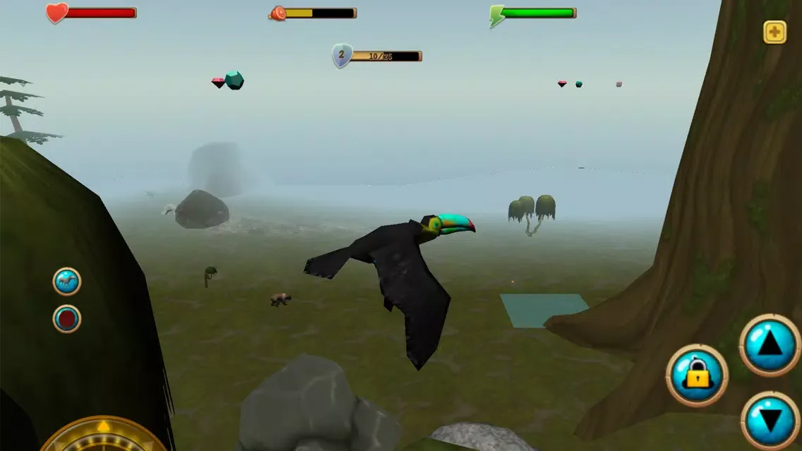 تصاویر Toucan Simulator 3D