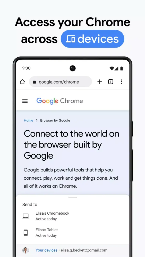 Chrome Dev应用截图