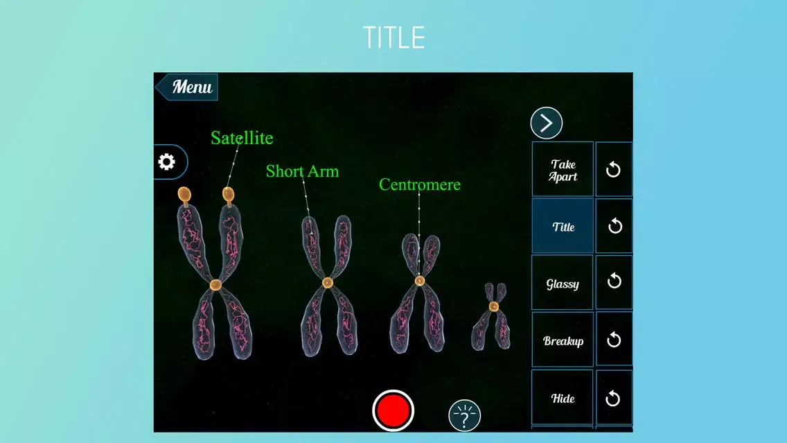 Capturas de tela do Virtual Reality(VR) Chromosomes