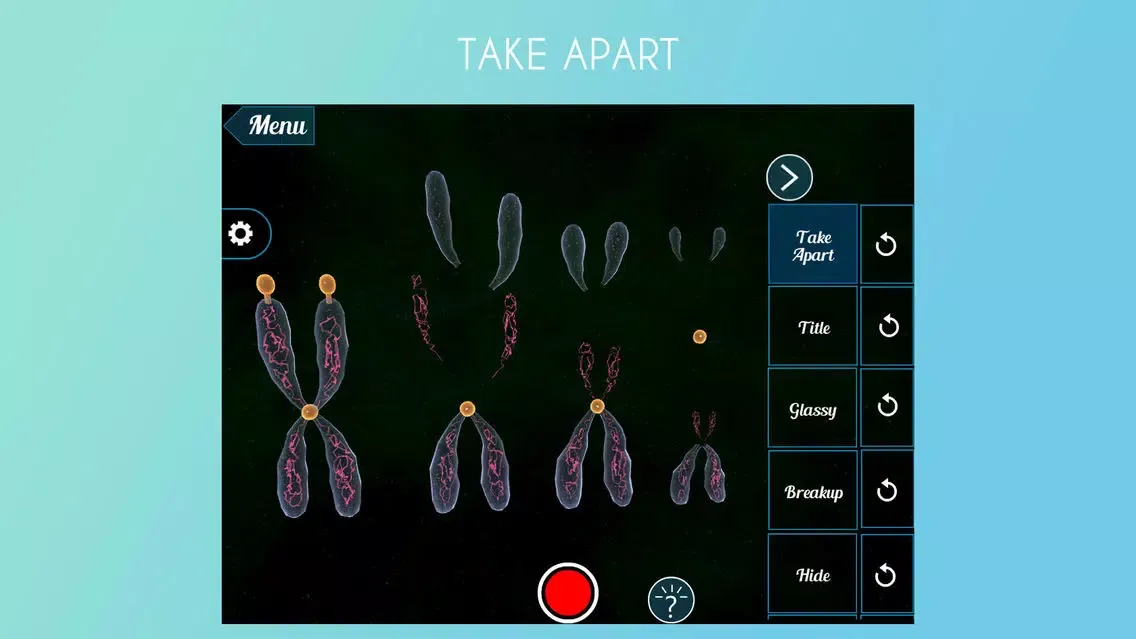 Capturas de tela do Virtual Reality(VR) Chromosomes