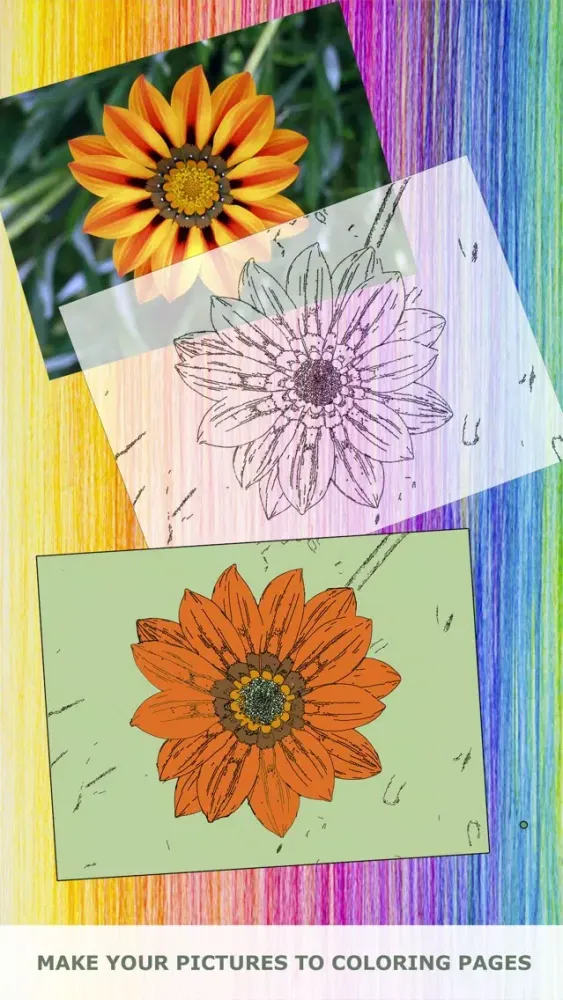 Chromotherapy - Make Your Pictures To Color Therapy Art books for Adults應用截圖