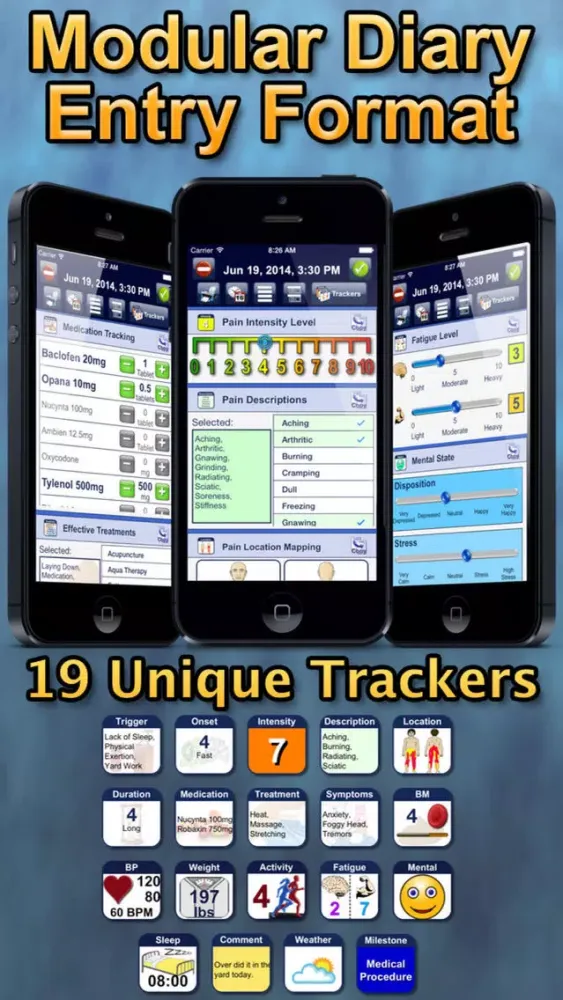 Chronic Pain Tracker スクリーンショット