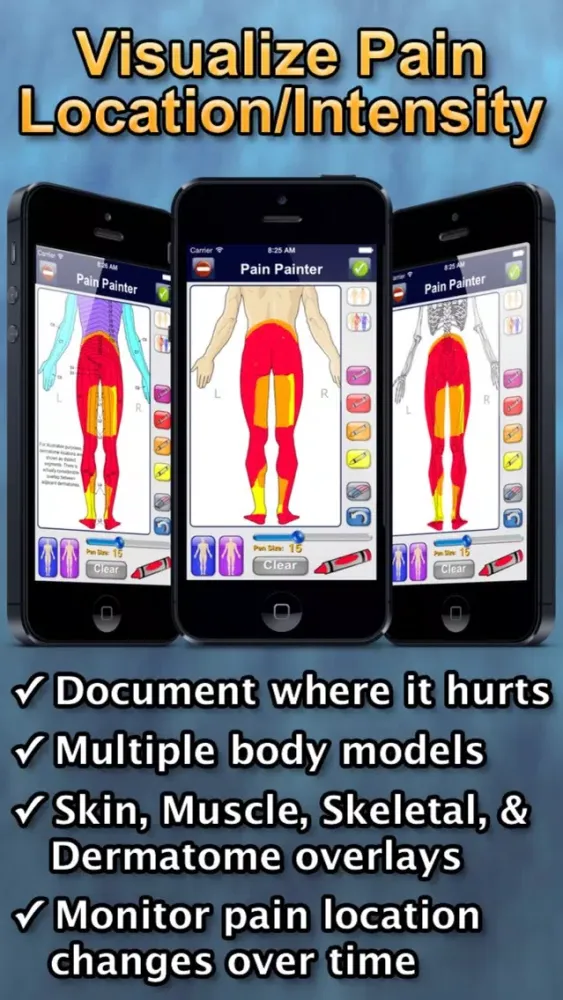 Chronic Pain Tracker スクリーンショット