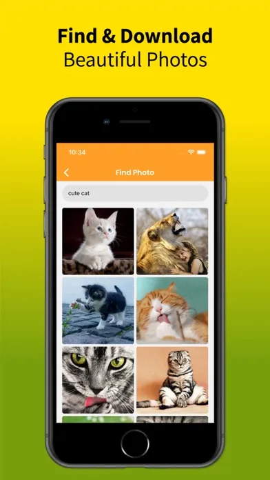 Tangkapan layar Reverse Image Search Find Tool