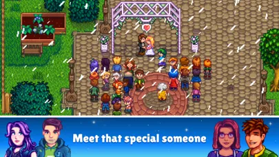 Stardew Valley स्क्रीनशॉट