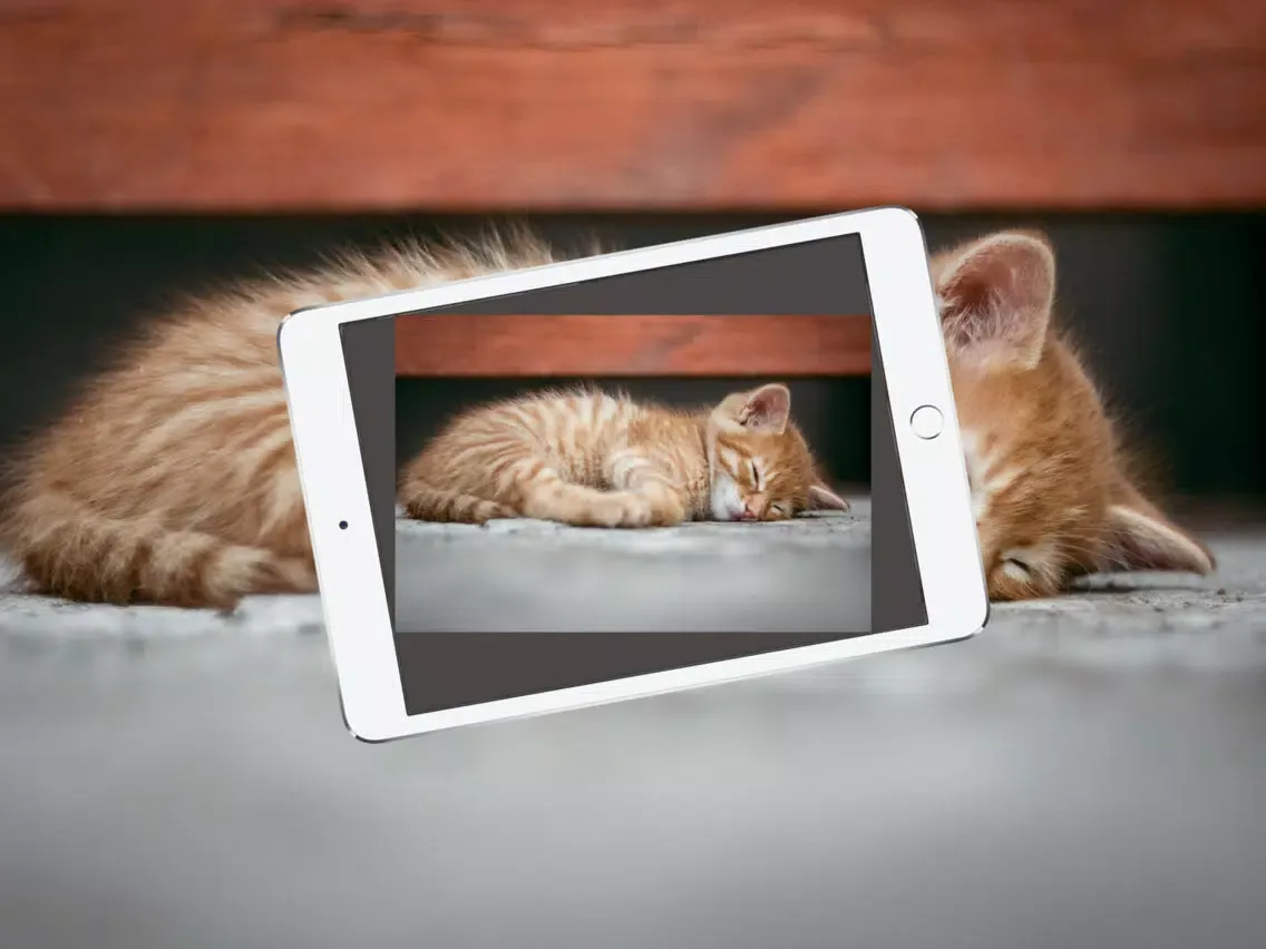 Ảnh chụp màn hình của Tiltless Cam iPad 