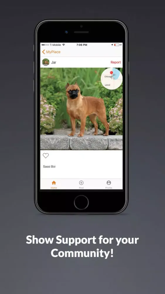 MyPlace - Local Sharing应用截图