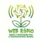 IPS Web Radio
